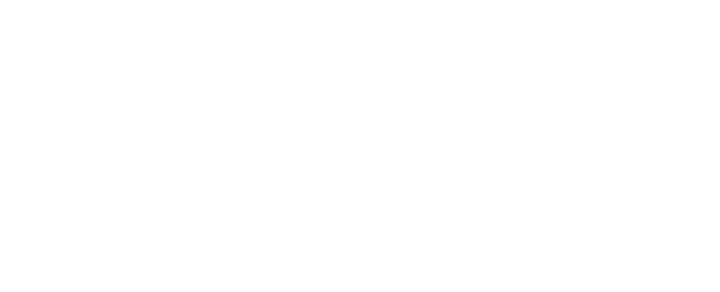 Everlove skincare logo